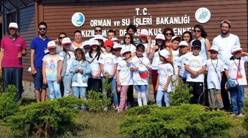 &lsquo;dikkuyruk Ve Arkadaşları&rsquo; Tegv&rsquo;li &Ouml;ğrencilerle Buluştu