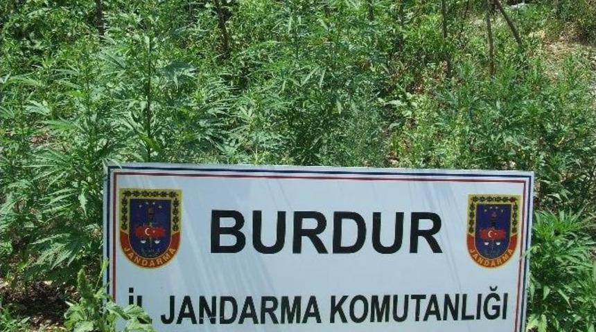 Burdur&rsquo;da Hint Keneviri Operasyonu