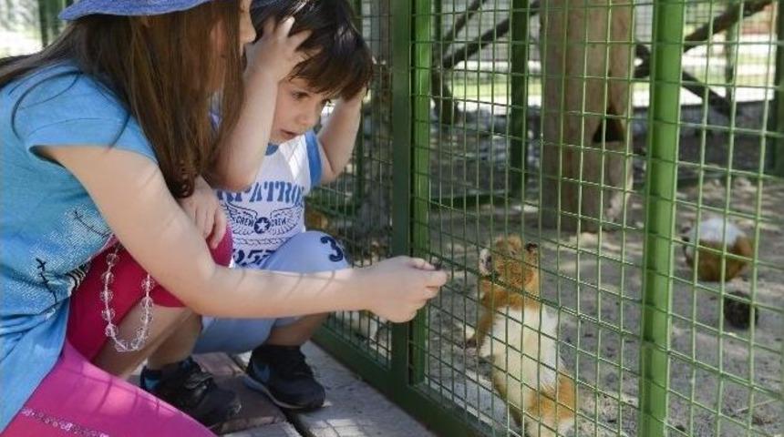 &Ccedil;ukurova B&ouml;lgesi&rsquo;nin İlk Ve Tek Doğal Yaşam Merkezi