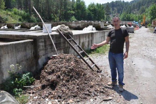 Çameli'de Taşkın Nedeniyle Balık Çiftliklerinde 250 Bin Balık Telef Oldu