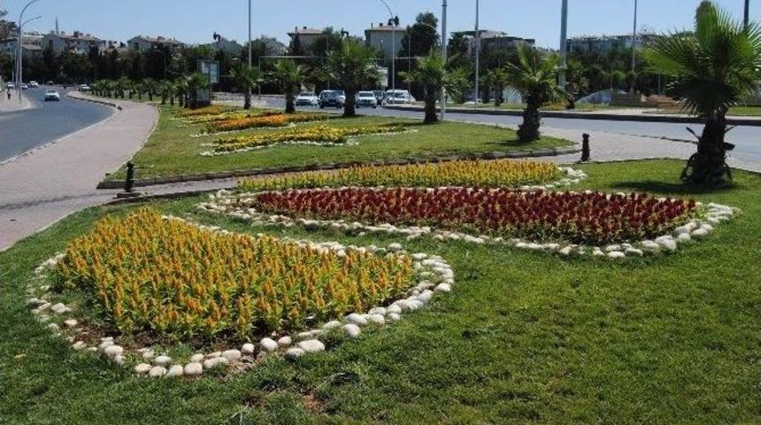 Şanlıurfa &lsquo;b&uuml;y&uuml;kşehirle&rsquo; &Ccedil;i&ccedil;ek A&ccedil;ıyor