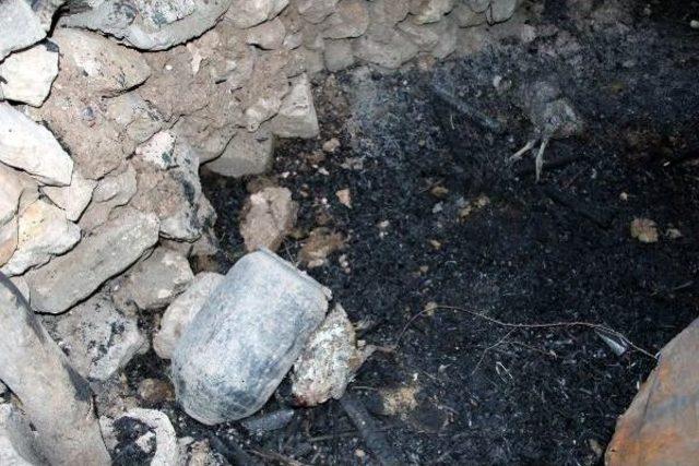 Nusaybin'de Gaz Kapsülü Kümesi Yaktı, 15 Kanatlı Telef Oldu