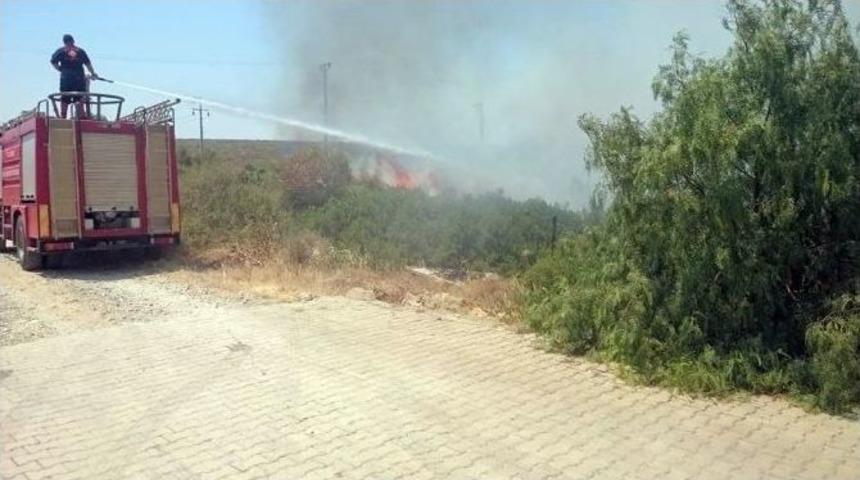 Didim&rsquo;deki Yangın Sitelere Sı&ccedil;ramadan S&ouml;nd&uuml;r&uuml;ld&uuml;