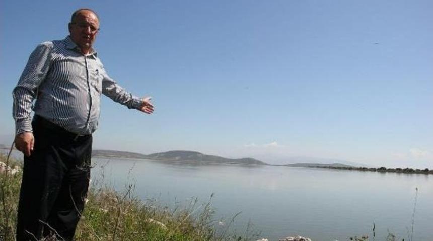 İzmir Kuş Cenneti, Son 20 Yılın En Sulak D&ouml;nemini Yaşıyor