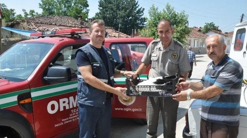 Yaralı Leyleğe Muhtar Sahip &Ccedil;ıktı