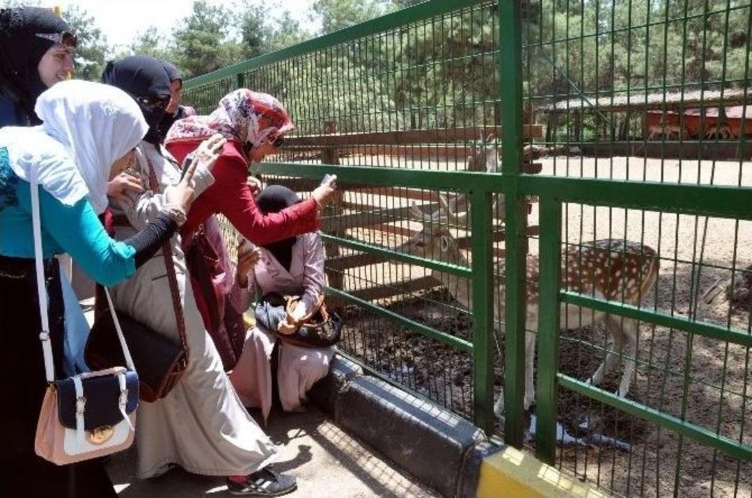 Kadın Meclisi &Uuml;yeleri Hayvanat Bah&ccedil;esini Gezdi