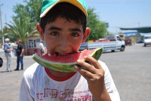 Karpuz, Kabak Tadı Verdi Üretici Perişan Oldu