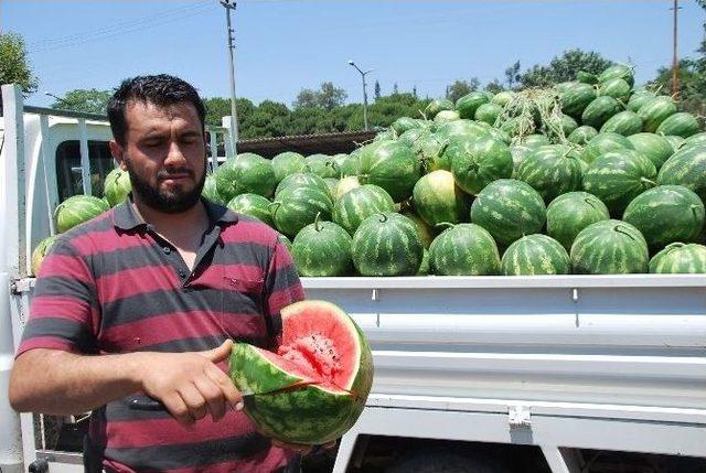 Karpuz, Kabak Tadı Verdi Üretici Perişan Oldu