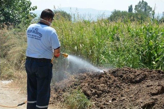 Umurlu Mahallesinde Çiçek Karantinası