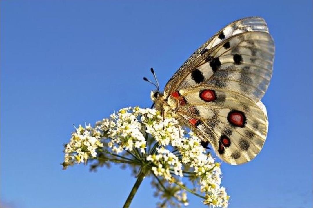 (&ouml;zel Haber) Uludağ&rsquo;da Gizli G&uuml;zellikler Bu Karelerde