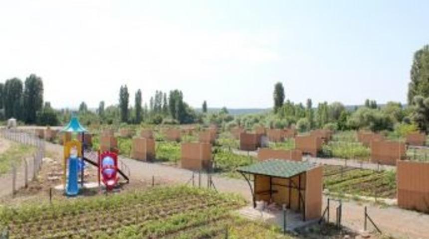 Beyşehir&rsquo;de Hobi Bah&ccedil;eleri Meyvelerini Verdi