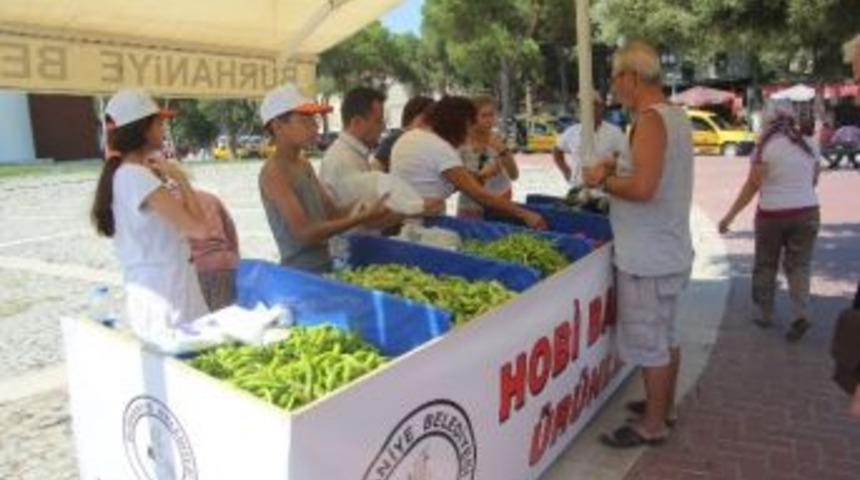 Tarım Kampı &Uuml;r&uuml;nleri &Ouml;ğrenciler Tarafından Satılıyor