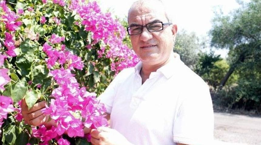 T&uuml;rkiye, Hollanda&rsquo;daki &Ccedil;i&ccedil;ek Krizini Avantaja &Ccedil;evirecek