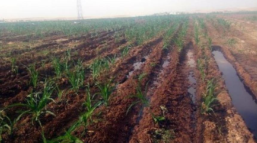 Explosion On Kirkuk-Yumurtalık Oil Pipeline