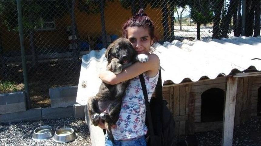 &Ccedil;ok Sayıda Can Sahiplenmeyi Bekliyor