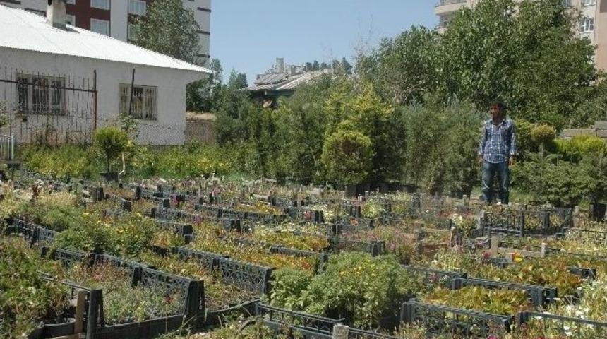 Kuruyan &Ccedil;i&ccedil;ekler Ellerinde Kaldı