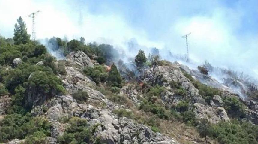 Isparta’da Orman Yangını