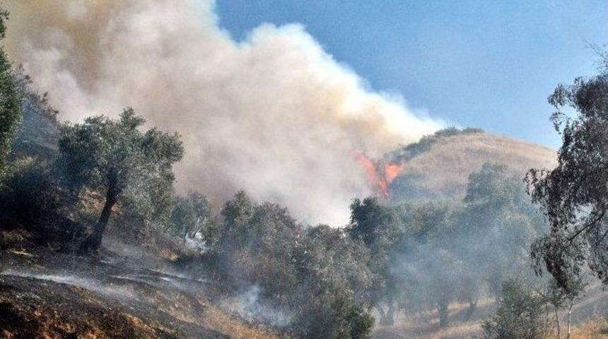 Aydın&rsquo;da Yangın