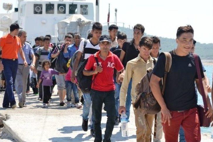 Ayvalık’ta 166 Kaçak Göçmen Yakalandı G4