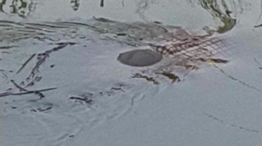 Not Yazıp Sulama Kanalında Intihar Etti