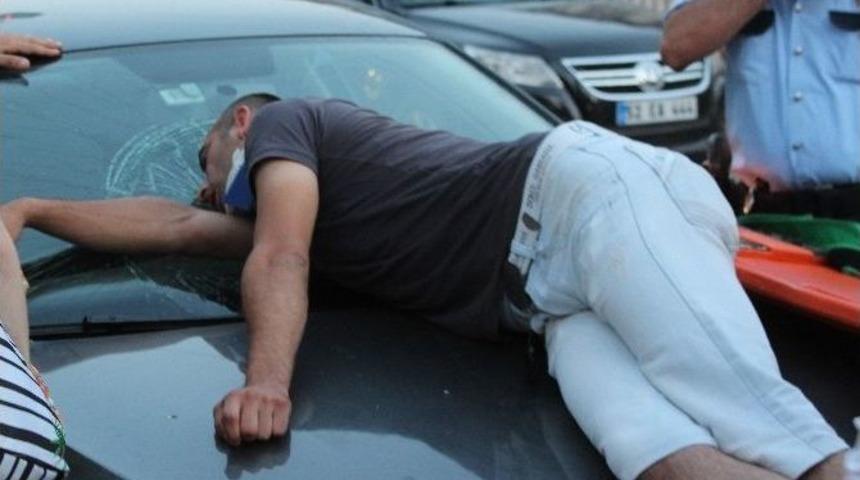 Ordu’da Yaya, Araca Çarptı: 1 Yaralı