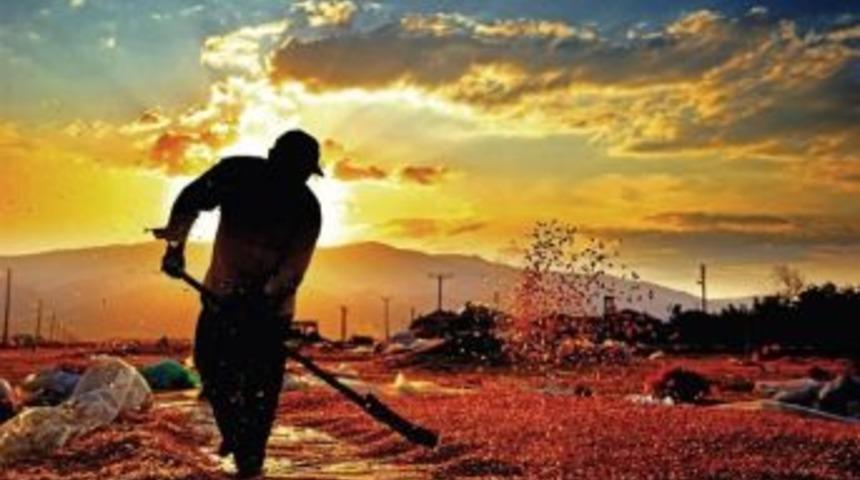 7. Tarım Ve İnsan Fotoğraf Yarışması Başvuruları Başladı