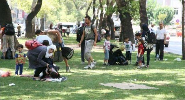 İzmir'de Can Yeleği Operasyonu