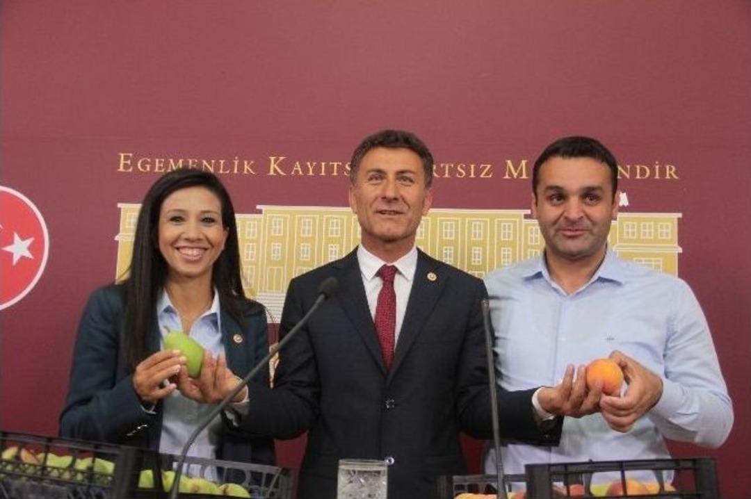 Meclis&rsquo;te Şeftali Ve Armutlu Termik Santral A&ccedil;ıklaması