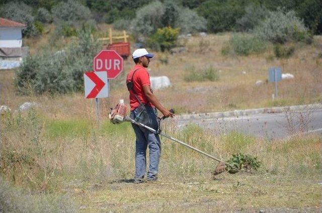 Kargı Belediyesinden Kavşak Temizliği