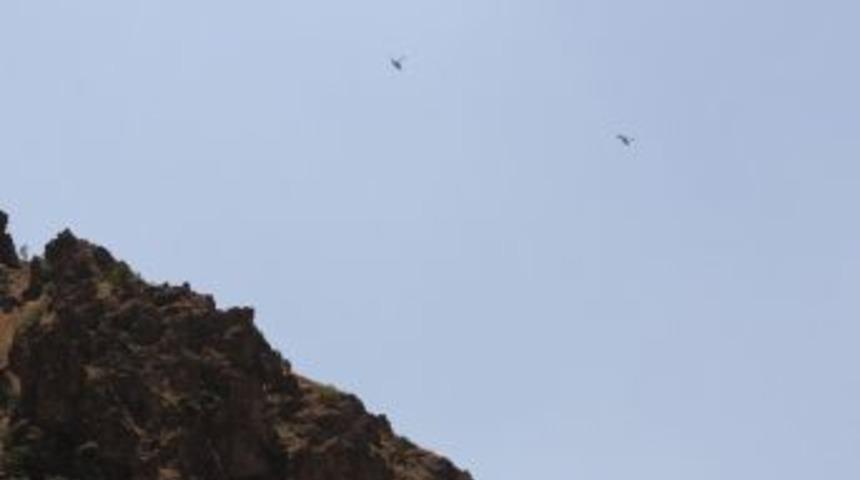 Hakkari&rsquo;de Hava Hareketliliği