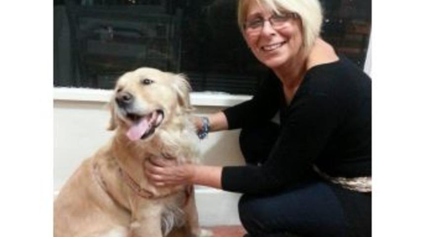 Sokak Hayvanları İ&ccedil;in Bir Kap Su Uyarısı