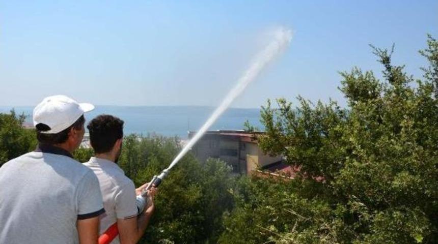 &Ccedil;om&uuml;'de Korkutan Yangın