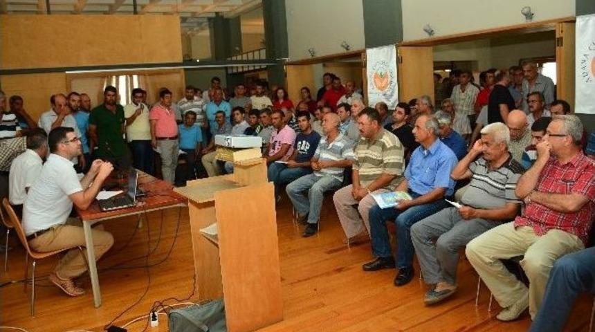 Sertifikası Olmayan Bitki İla&ccedil;laması Yapamayacak