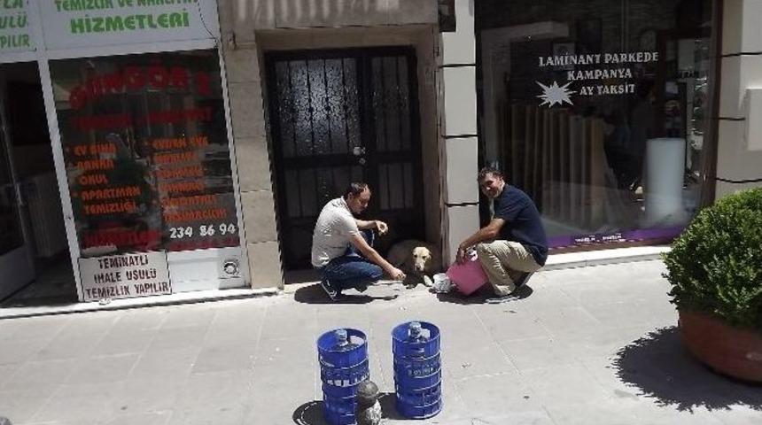 ’yoksul’un Keyfine Diyecek Yok