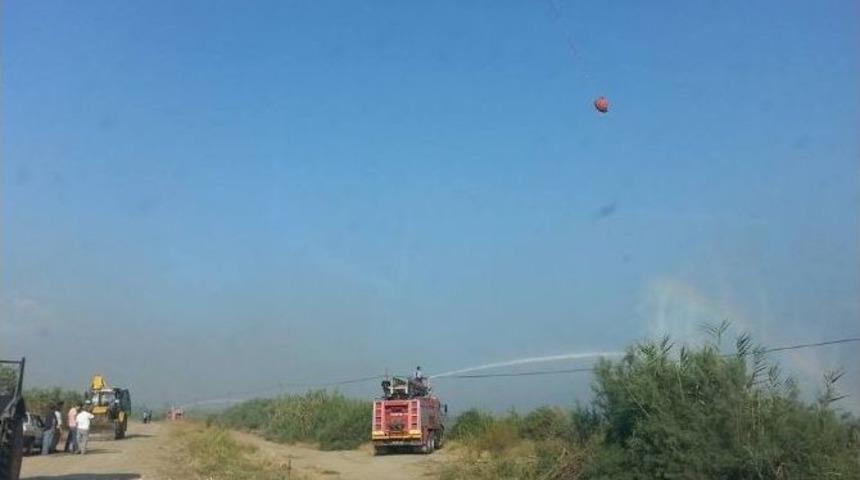 Dalyan Sazlığı Yine Alevlere Teslim Oldu