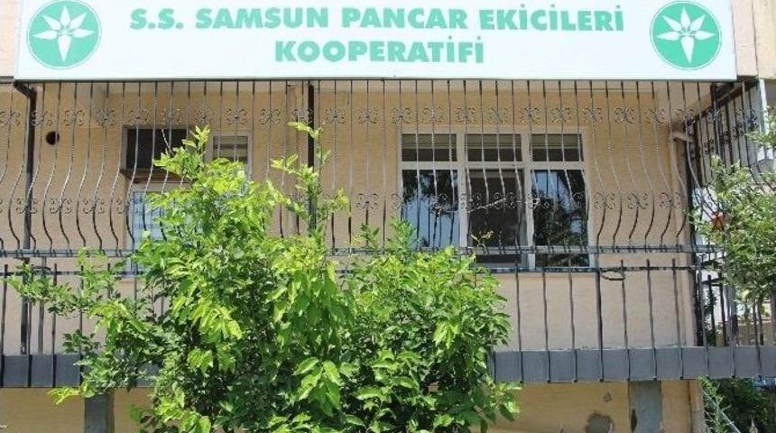 Pancar &Uuml;retimi Bitme Noktasında