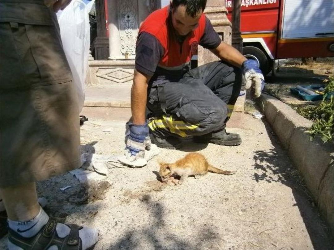 Su Giderine Sıkışan Kedileri İtfaiye 1 Saat 40 Dakikada Kurtardı