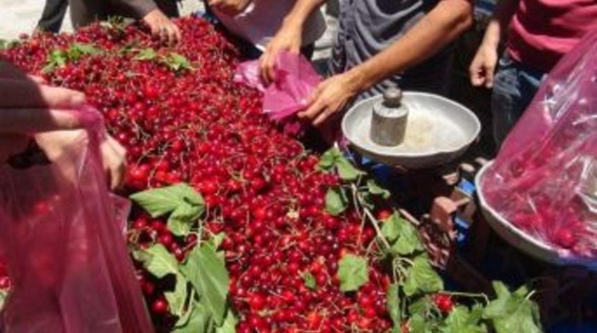 Mardin&rsquo;de Kiraz Bereketi Yaşanıyor