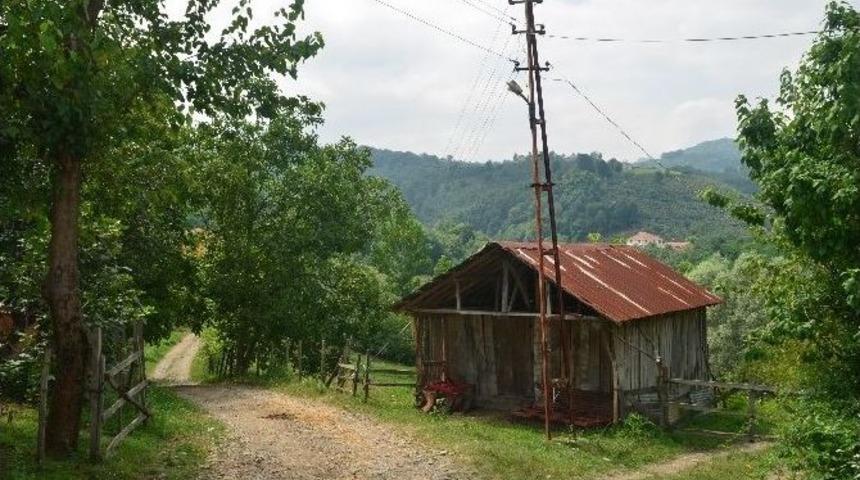 Aydınlatma Direğinden D&uuml;şerek Yaralandı