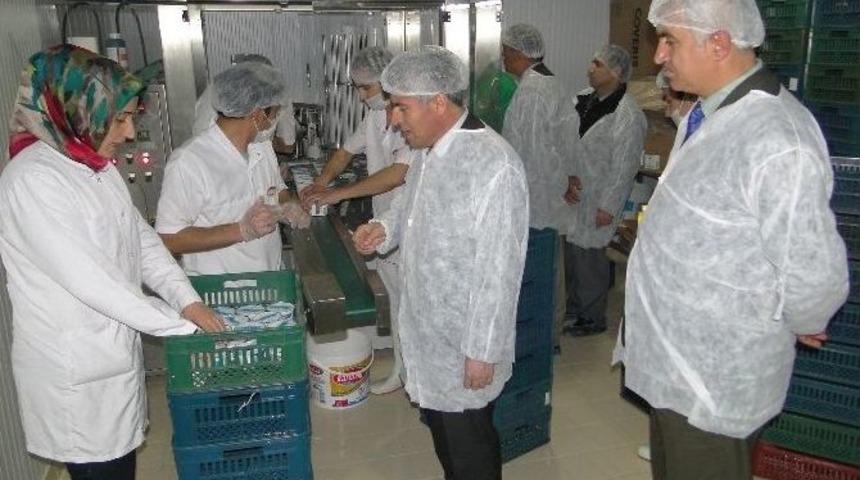 10. Etap&rsquo;ta Hibe Alacak Projeler A&ccedil;ıklandı