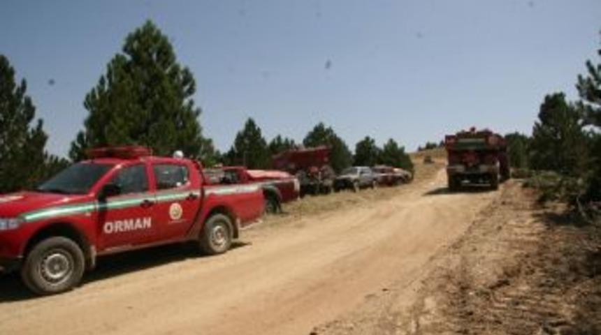 Ormanlar İ&ccedil;in Sevindiren Haber