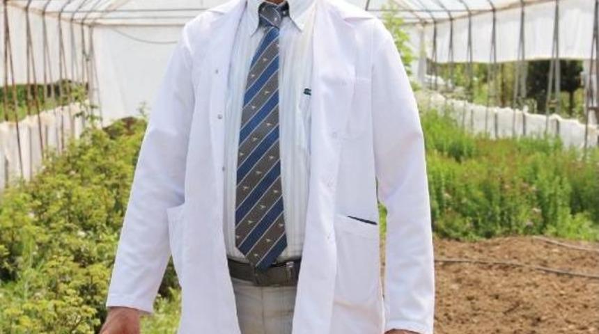 Sd&uuml; &Ccedil;i&ccedil;ek Zararlısına Savaş A&ccedil;tı