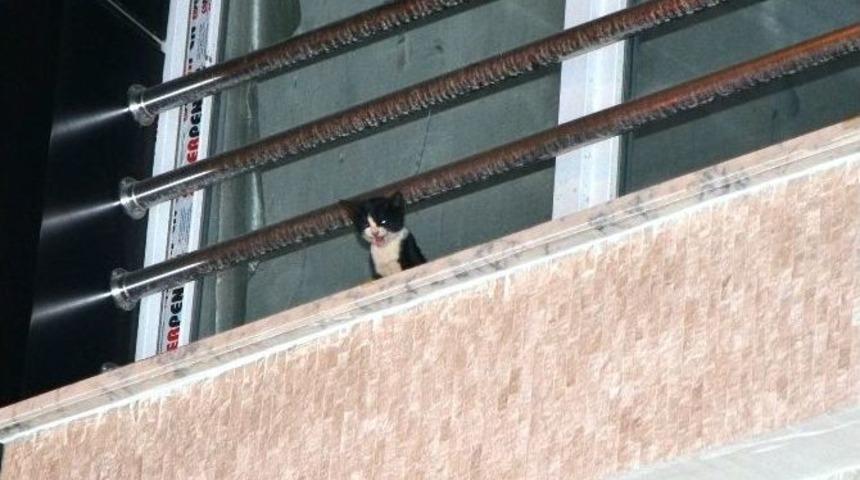 İtfaiye Kurtardı Vatandaş Sahiplendi