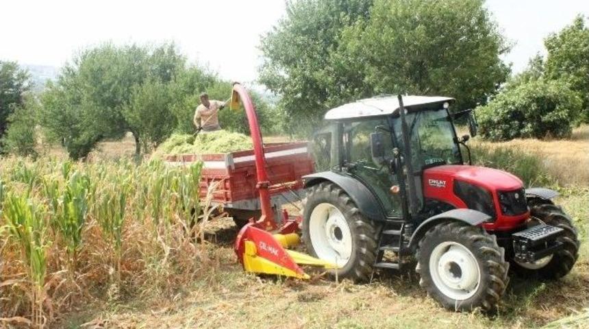 Tekirdağ&rsquo;da Silaj Hasadı Başladı