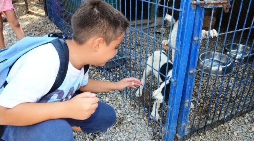 Bodrumlu Miniklerden &ldquo;k&ouml;pekler Evsiz Kalmasın!&rdquo; Projesi
