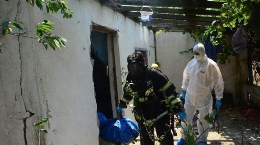 Barakada &Ccedil;&uuml;r&uuml;yen Cesedi, K&ouml;pek Buldu