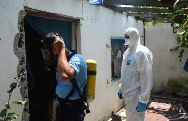 Barakada &Ccedil;&uuml;r&uuml;yen Cesedi, K&ouml;pek Buldu 1