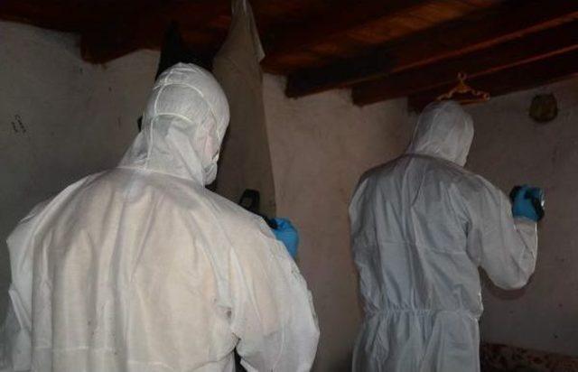 Barakada &Ccedil;&uuml;r&uuml;yen Cesedi, K&ouml;pek Buldu 2