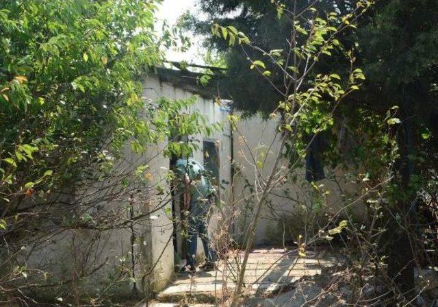 Barakada &Ccedil;&uuml;r&uuml;yen Cesedi, K&ouml;pek Buldu 3