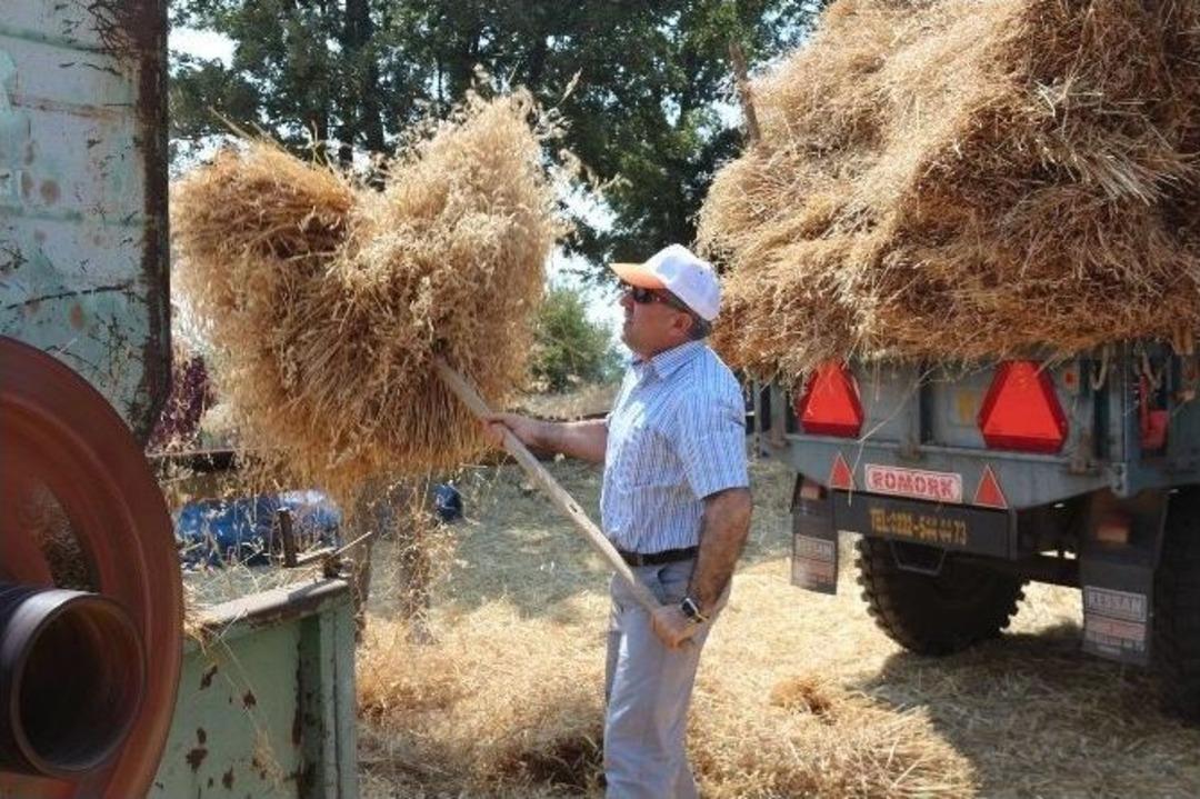 Milletvekili &Ouml;zdağ Buğday Hasadı Yaptı